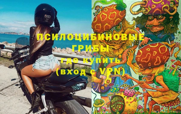 молекула духа Верхний Тагил