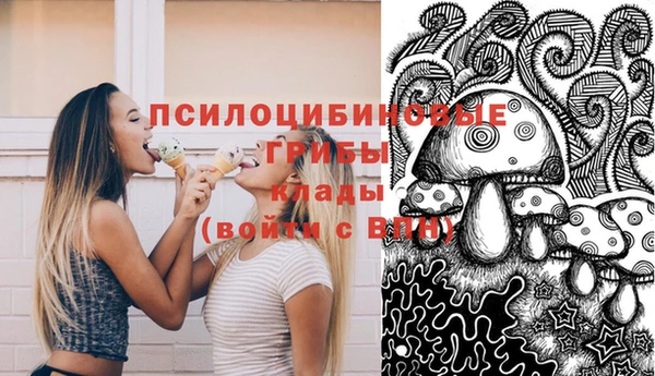 крисы Верхнеуральск