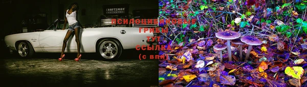 крисы Верхнеуральск